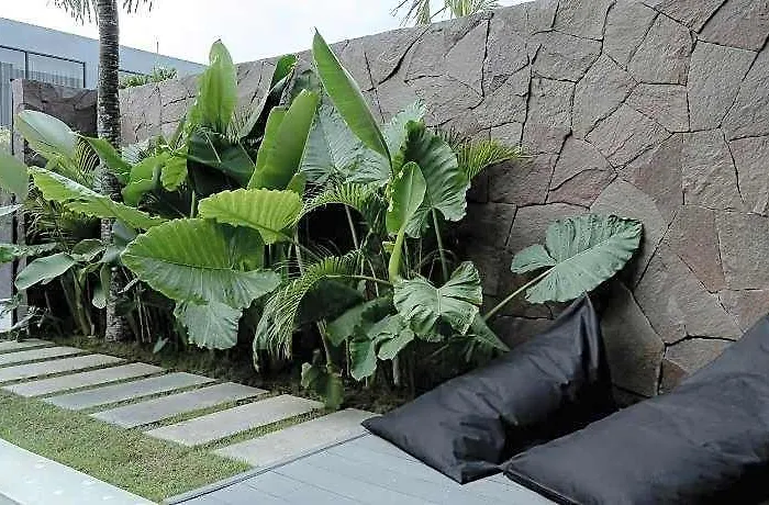 Hotel Predmet Babakan Canggu Bali 4*